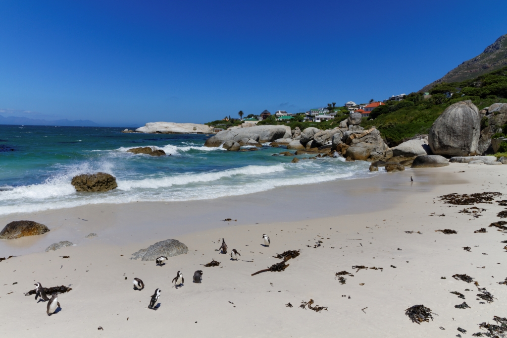 00 - Le Cap (2) - Boulder.jpg